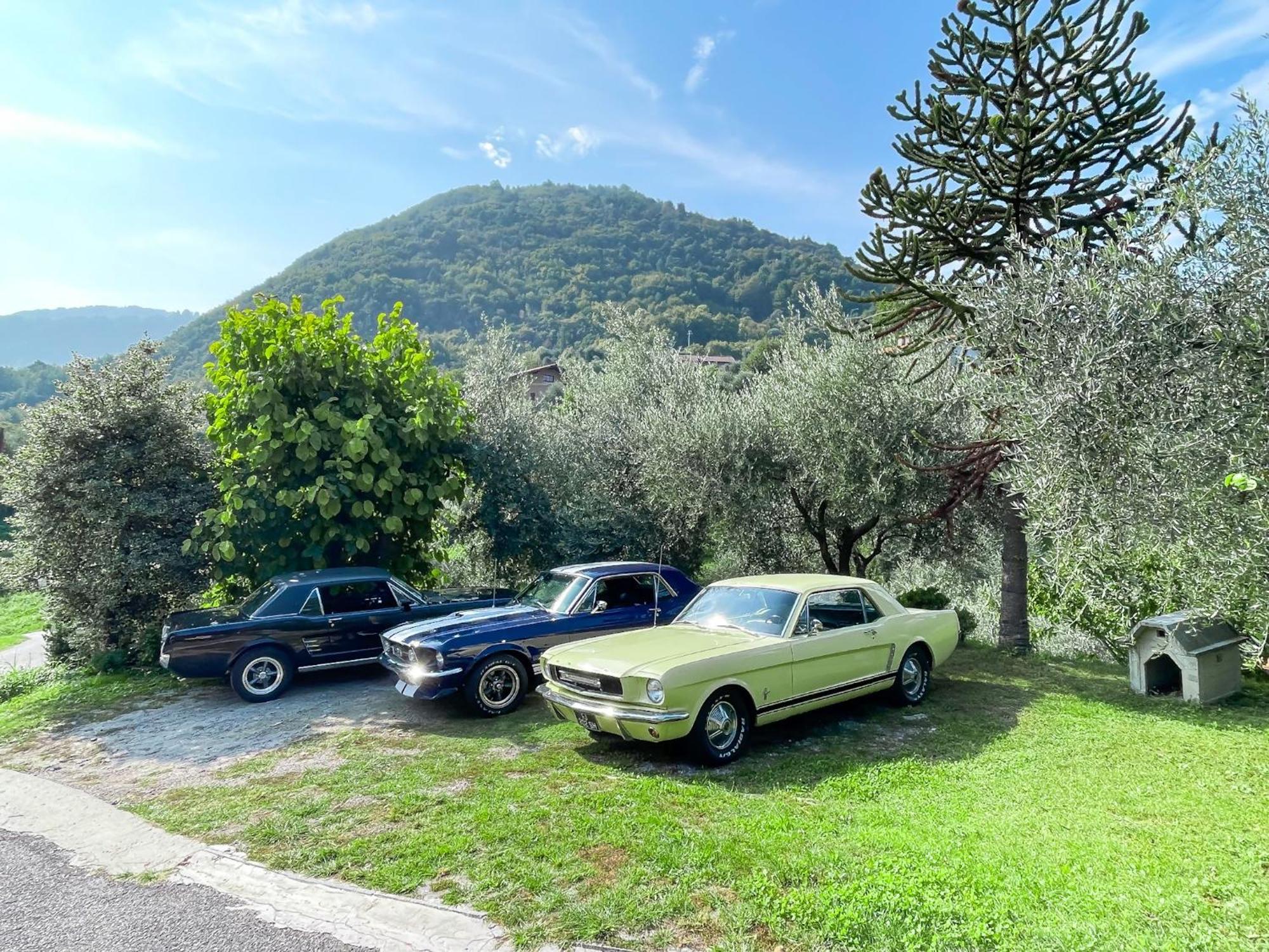 Appartamento Tivano Balcone Con Vista Lago Bellagio Eksteriør bilde